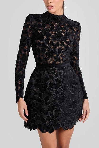 High Round Neck Embroidered Lace Mini Dress