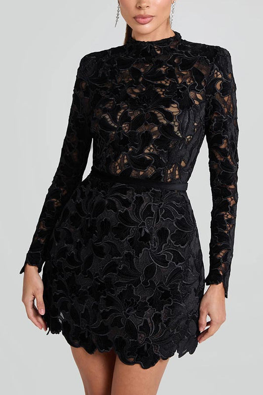 High Round Neck Embroidered Lace Mini Dress