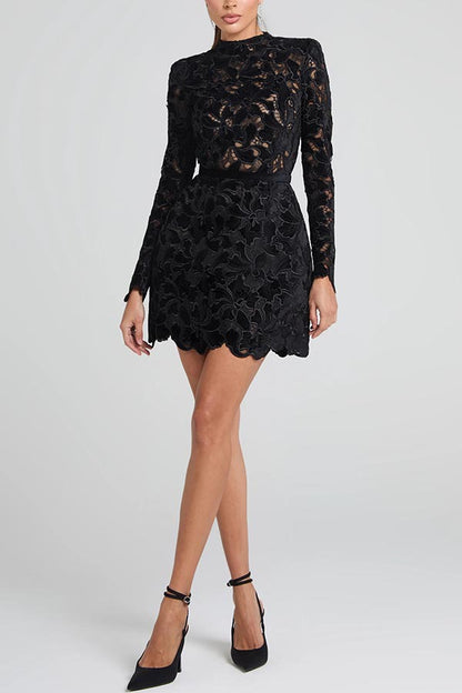High Round Neck Embroidered Lace Mini Dress