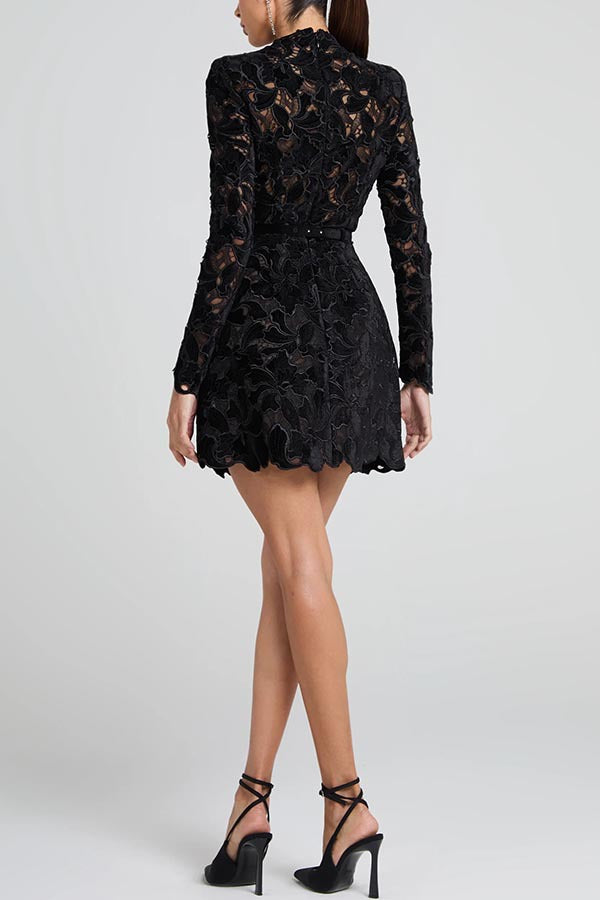 High Round Neck Embroidered Lace Mini Dress