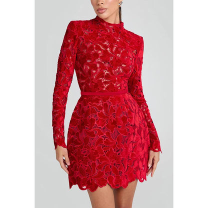 High Round Neck Embroidered Lace Mini Dress