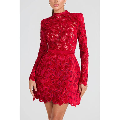 High Round Neck Embroidered Lace Mini Dress